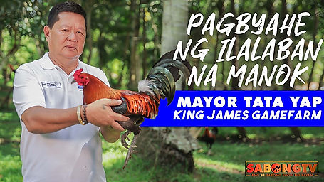 Alagang LDI ni Mayor Tata Yap sa Pagbiyahe ng Manok October 23, 2022